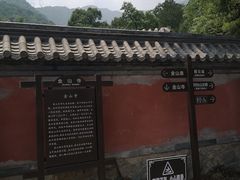 -阳台山自然风景区
