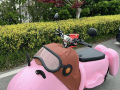 -苏州太湖西山岛开心农场