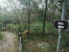 -北京鹫峰国家森林公园