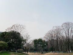 -后襄河公园