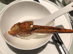 -尚一汤·粤菜海鲜(汇智国际商业中心店)