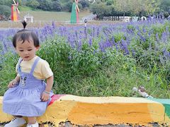 -松山湖梦幻百花洲