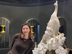 -滇野云南野生菌餐厅(陕西南路店)