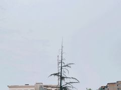 -天津医科大学第二医院