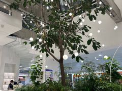 -大树餐厅(红旗街万达店)