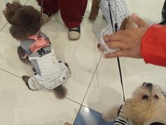-凯德广场(西城店)