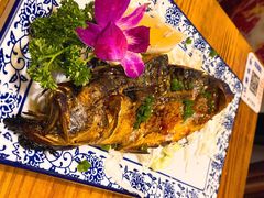 -达摩食堂(仓山万达店)