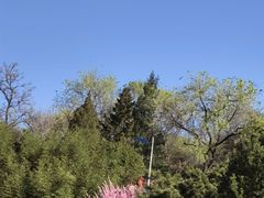 -北京十三陵国家森林公园蟒山景区