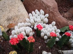 -南通洲际绿博园