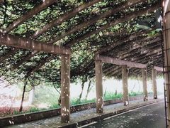 -重庆医科大学附属第一医院(金山院区)