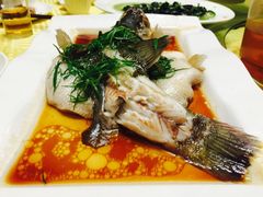 -盛记顺德高佬猪杂粥