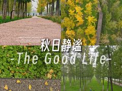 -汉长安城未央宫国家考古遗址公园