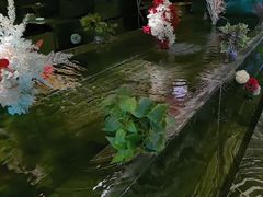-索拉古贝(义乌北苑店)