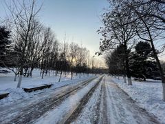 -长白岛森林公园