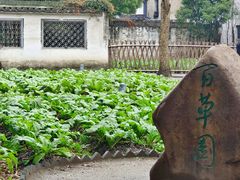 -绍兴鲁迅故里·沈园景区