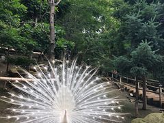 -哈尔滨北方森林动物园