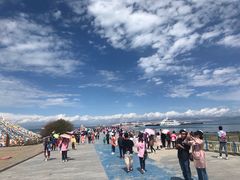 -青海湖国家重点风景名胜区