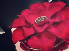 -PETIT PARIS 小巴黎(花园道店)