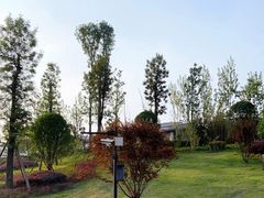 -枫香湖儿童公园