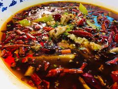 酸菜牛蛙-庆合府重庆大排档(紫都城店)
