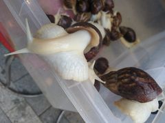 -霄汉牛三鲜湖北砂锅菜(万松园2店)