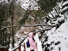 -九峰山