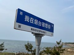 -海岛日记(养马岛店)