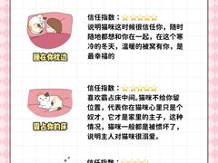 -翊宠yipet猫狗购宠庄园犬舍•猫舍