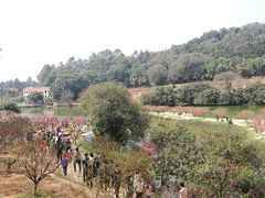 -南国桃园旅游度假区