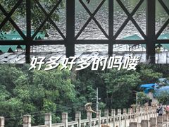 -黔灵山公园