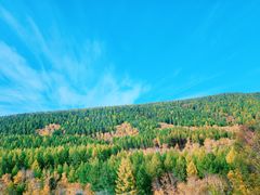 -塞罕坝国家级自然保护区