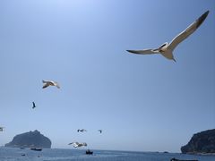 -棒棰岛宾馆景区