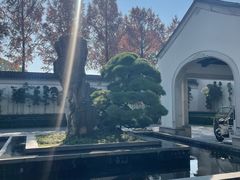 -杭州西子湖四季酒店-WL BISTRO西湖餐厅(灵隐路店)