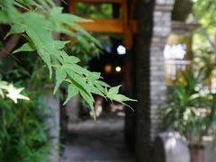 -鱼桥巷·美学川菜