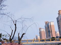 -三林塘老街
