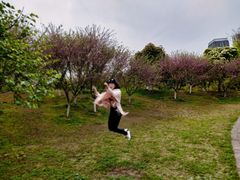 -堤角公园