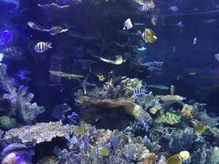 -福州罗源湾海洋世界旅游区