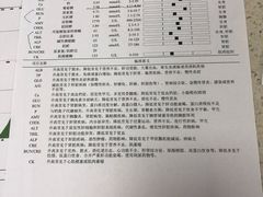 -睿金宠物医院·CT·肿瘤·骨外科