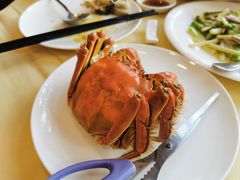 清蒸大闸蟹-王宝和酒家(黄浦店)