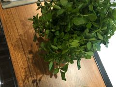 -东椰·海南椰子鸡火锅(朝阳门店)