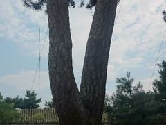 android_upload_pic-普乐寺