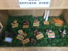 -易门野生菌府·菌海森林(月牙潭公园店)