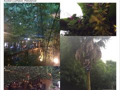 iphone_upload_pic-旅马餐厅(茅家埠店)