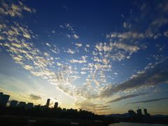 -厦门园林博览苑