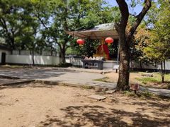 -上海佘山国家森林公园天马山园