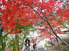 -崂山巨峰游览区