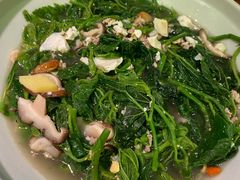 上汤桑叶苗-大榕树下顺德菜(融创茂店)