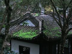 -重庆园博园