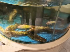 -小平岛開海水饺(浑南店)