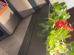 -管氏翅吧(台湾街店)